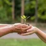 NGOPro – Nonprofit & NGO Divi Child Theme Image 8