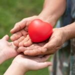 NGOPro – Nonprofit & NGO Divi Child Theme Image 9